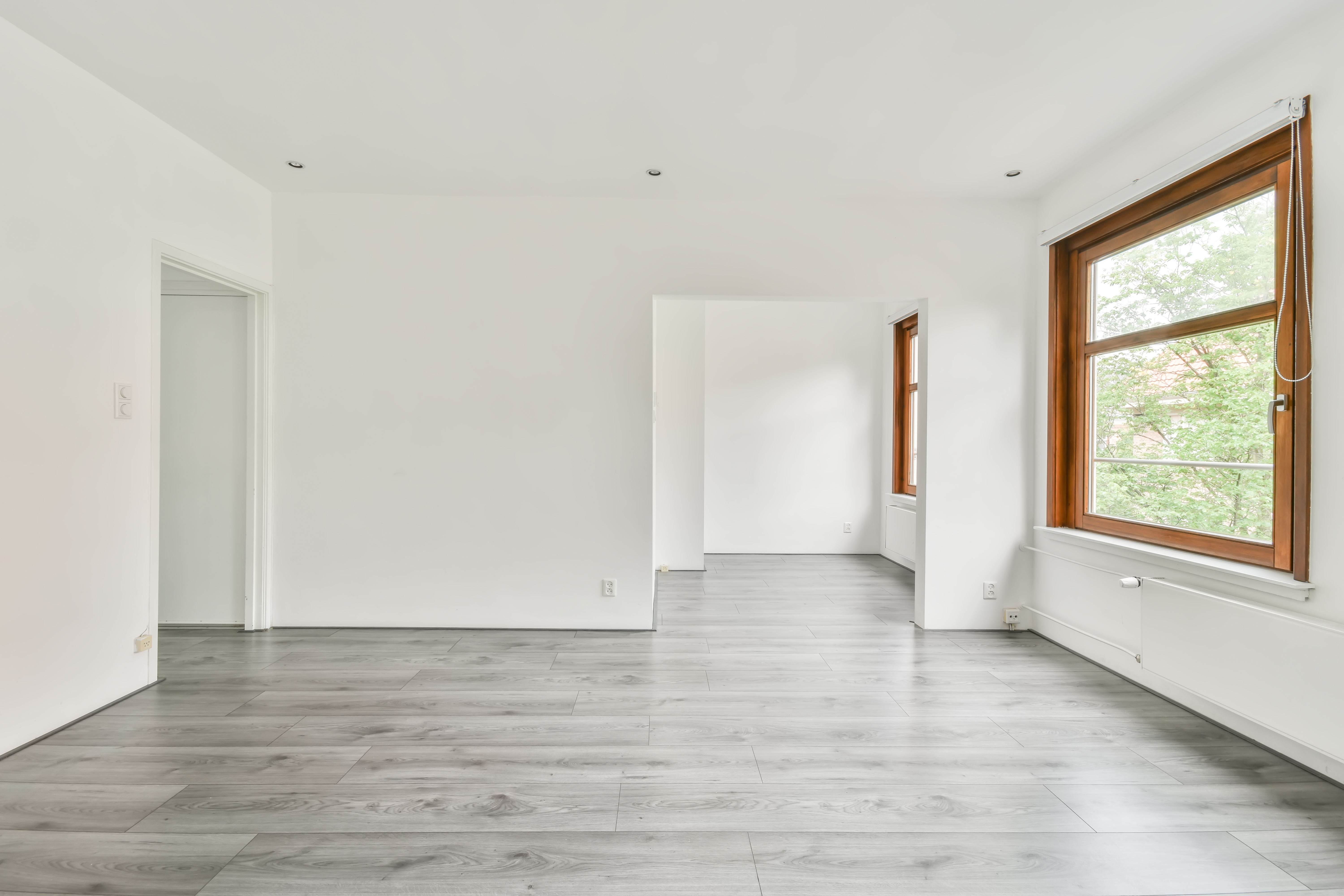 Living room cleaning services
